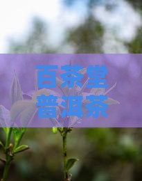 百茶堂普洱茶香味很怪的原因分析