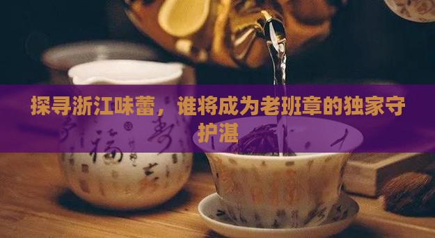 探寻浙江味蕾，谁将成为老班章的独家守护湛