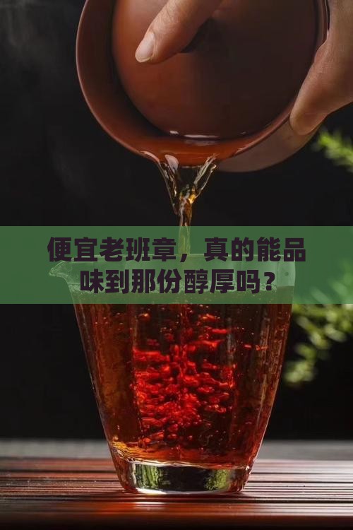 便宜老班章，真的能品味到那份醇厚吗？