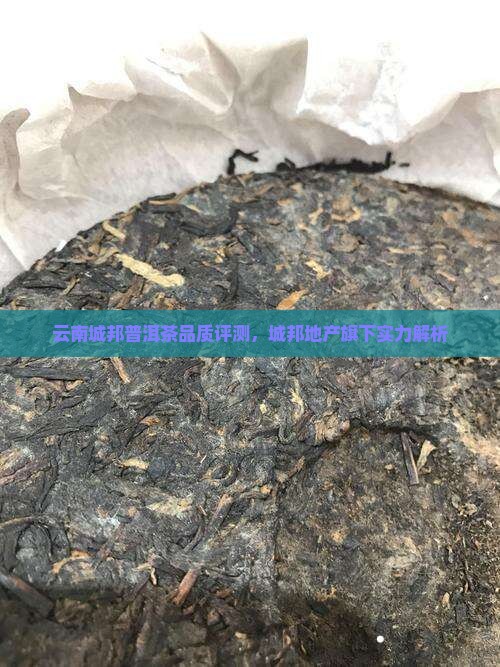 云南城邦普洱茶品质评测，城邦地产旗下实力解析