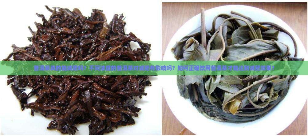 普洱茶真的能减肥吗？不同浓度的普洱茶对减肥有影响吗？如何正确饮用普洱茶才能达到减肥效果？