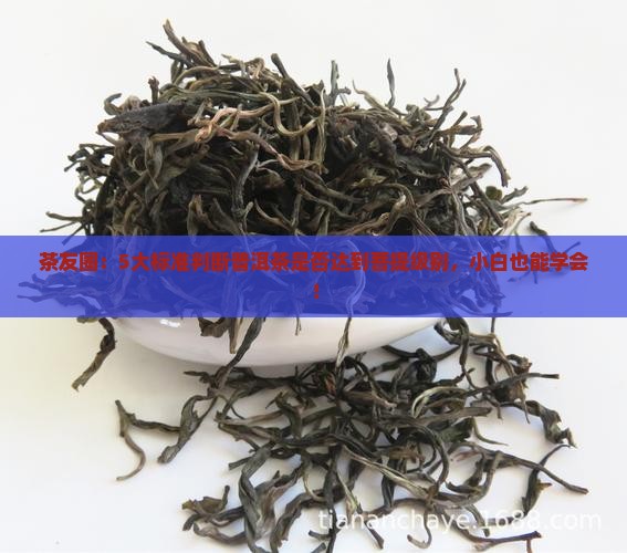 茶友圈：5大标准判断普洱茶是否达到菩提级别，小白也能学会！