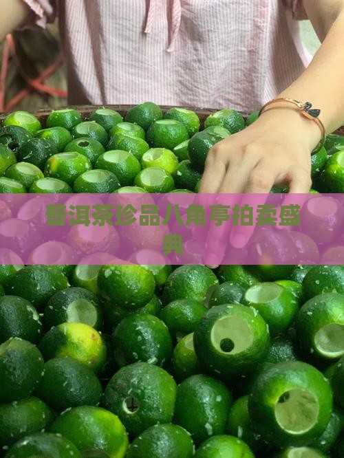 普洱茶珍品八角亭拍卖盛典