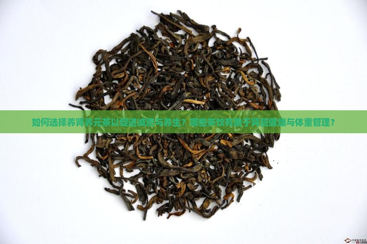 如何选择养肾养元茶以促进减肥与养生？哪些茶饮有助于肾脏健康与体重管理？
