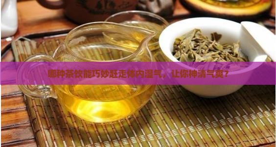 什么茶可以去除湿气
