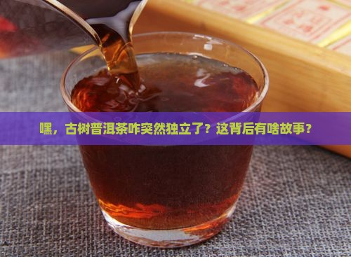 古树普洱茶独立 古树普洱茶独立