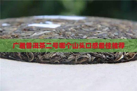 广雅普洱茶二号哪个山头