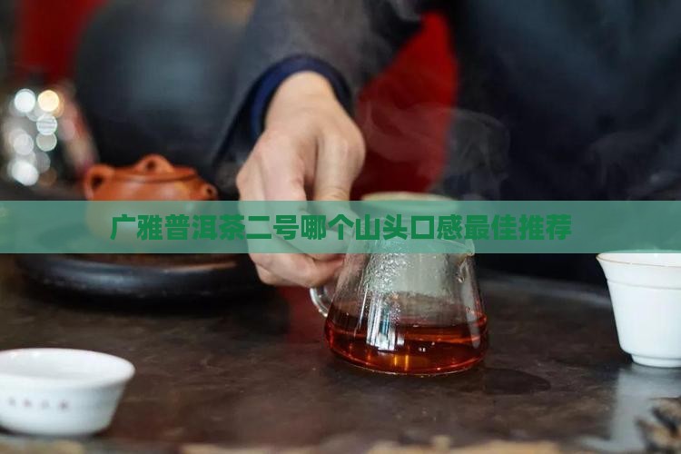 广雅普洱茶二号哪个山头