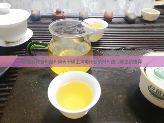 古道金秋普洱茶