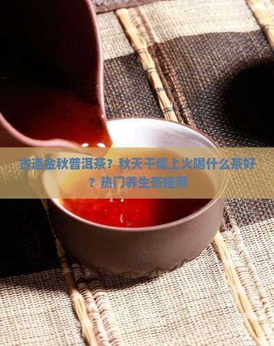古道金秋普洱茶