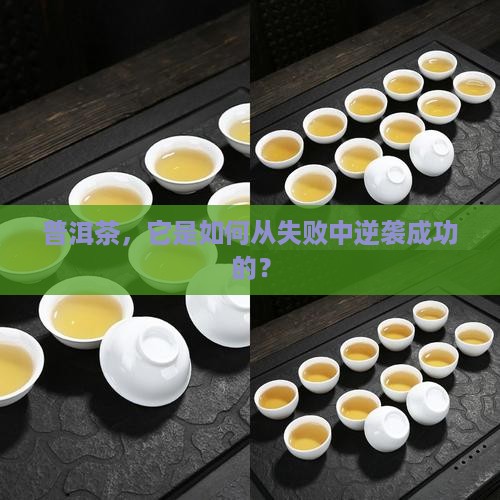 论普洱茶的成功与失败的关系