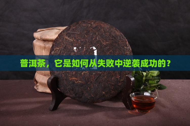 论普洱茶的成功与失败的关系