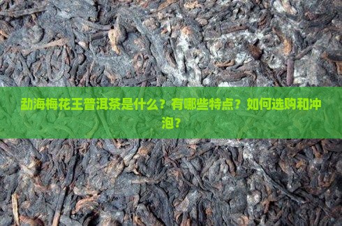 勐海梅花王普洱茶 勐海梅花王普洱茶