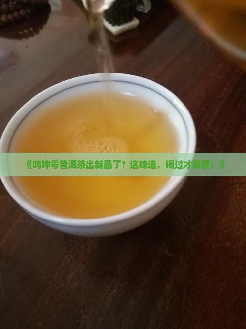 鸣坤号普洱茶最新消息