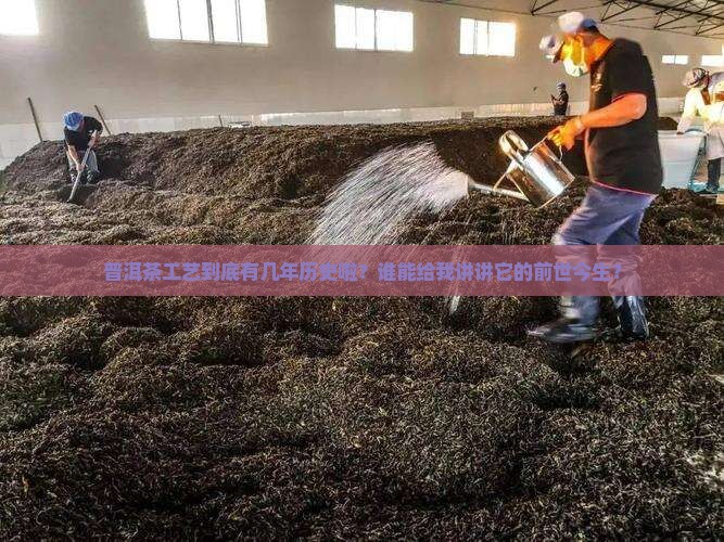 普洱茶工艺有多少年了