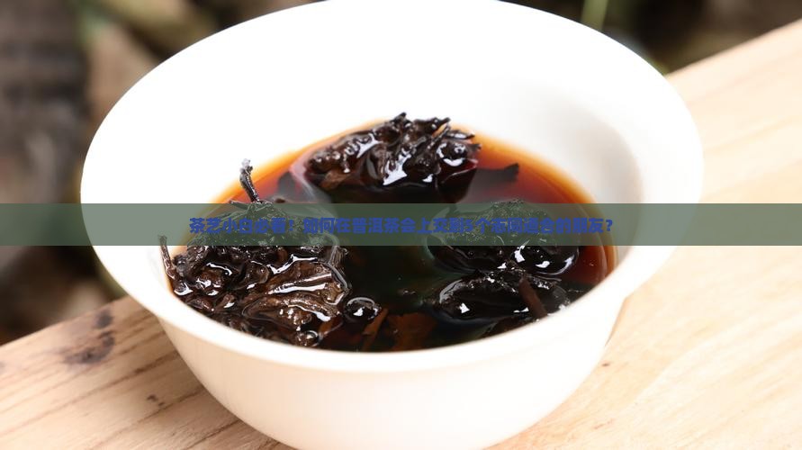 以茶会友品普洱茶