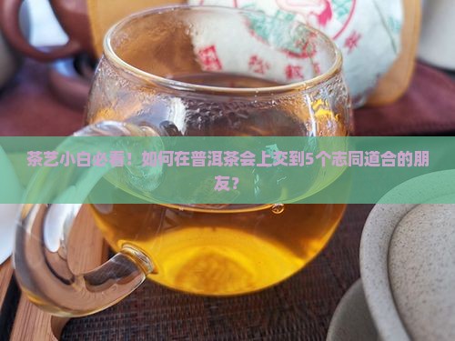 以茶会友品普洱茶