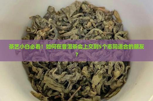 以茶会友品普洱茶