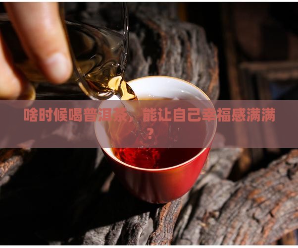 什么时间适合喝普洱茶