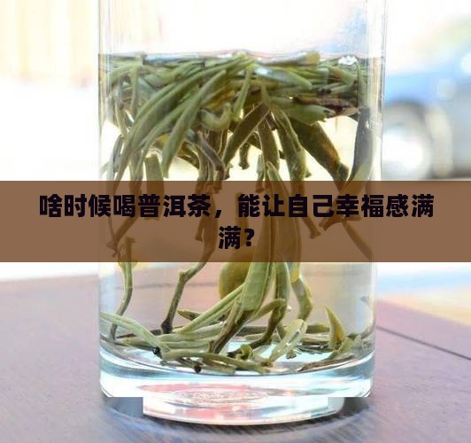 什么时间适合喝普洱茶