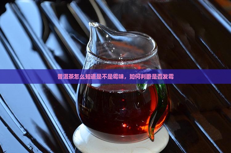 普洱茶怎么知道是不是霉味