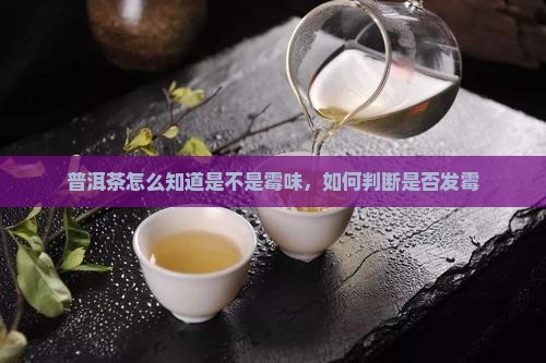 普洱茶怎么知道是不是霉味