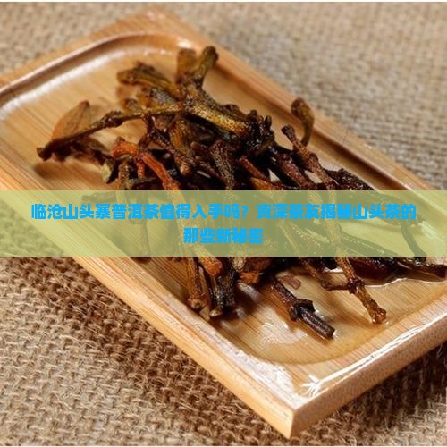 临沧山头寨普洱茶