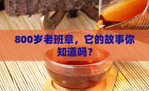 老班章800树龄