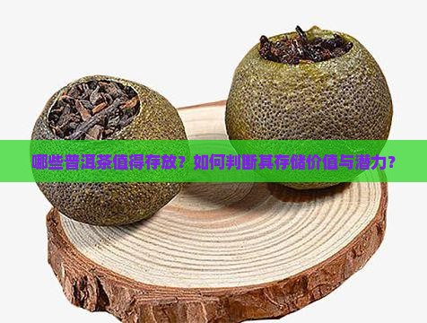 哪些普洱茶值得存放
