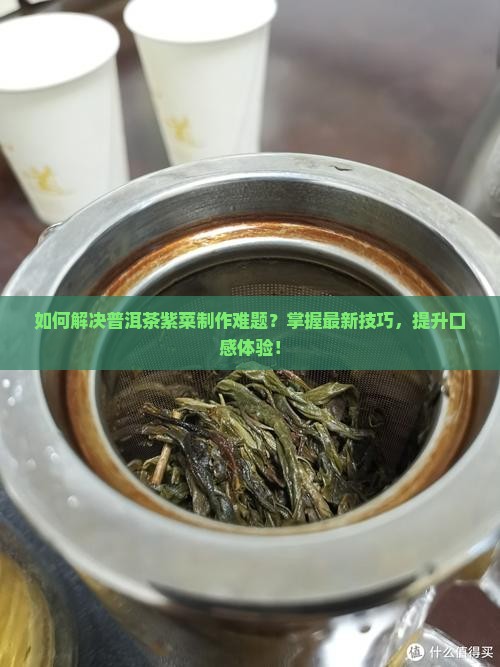 普洱茶紫菜怎么做