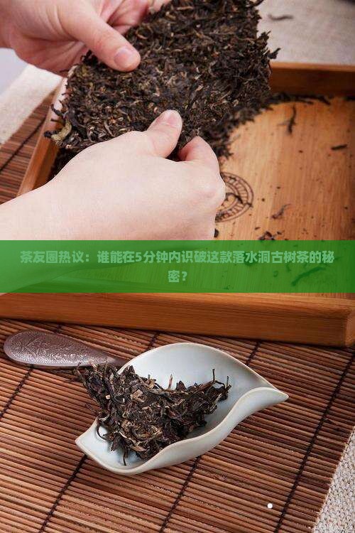 中茶大益茶王青饼落水洞古树茶