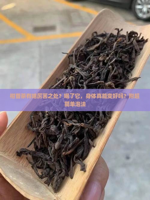 柑普茶的功效与作用泡法