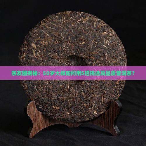 老同志普洱茶典