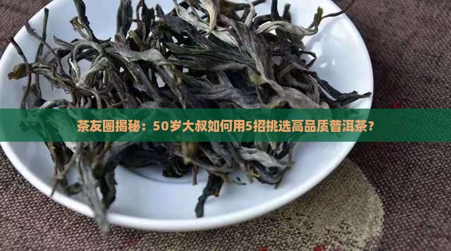 老同志普洱茶典