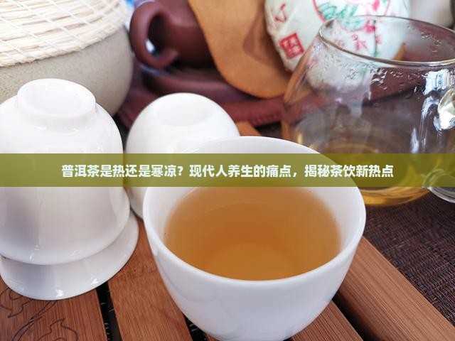 普洱茶是热还是寒凉