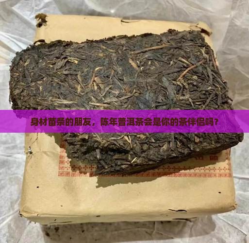 瘦的人能喝陈年普洱茶吗