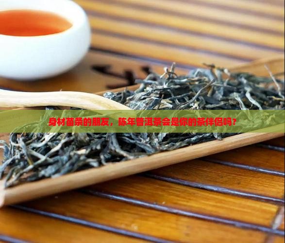 瘦的人能喝陈年普洱茶吗