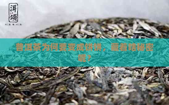 普洱茶为什么要压成饼形