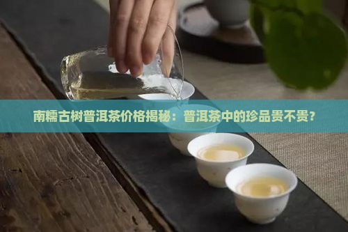 南糯山普洱茶贵不贵