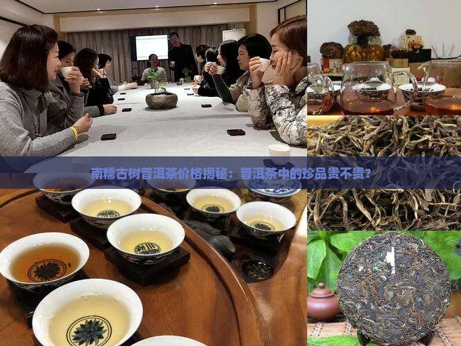 南糯山普洱茶贵不贵