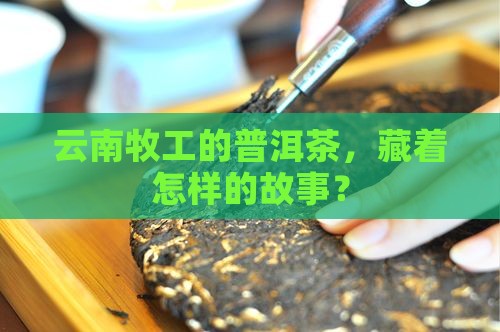 云南牧工普洱茶主页