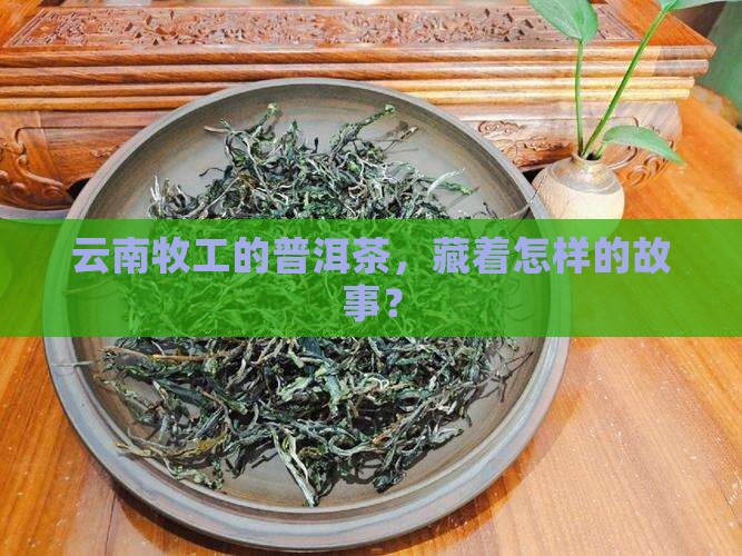 云南牧工普洱茶主页