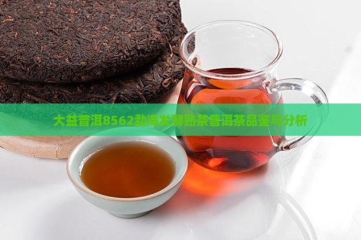 大益普洱8562怎么样