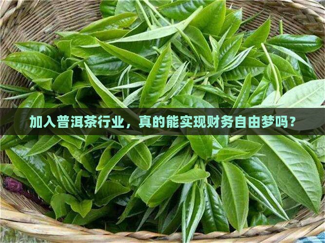 普洱茶加盟能挣到钱吗吗