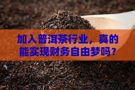 普洱茶加盟能挣到钱吗吗