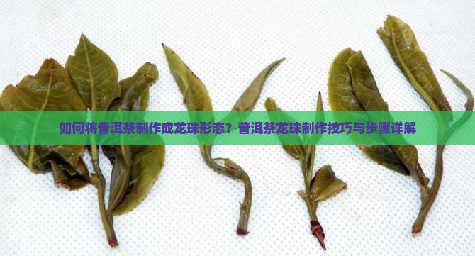 普洱茶做成龙珠