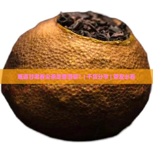 甘肃春尖茶是普洱茶