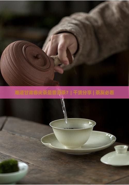 甘肃春尖茶是普洱茶