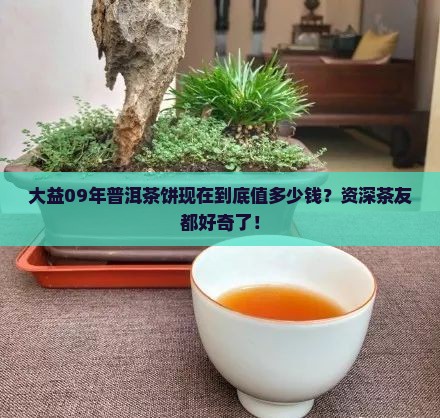 大益09年普洱茶饼价格