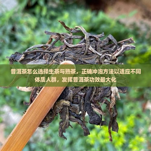 普洱茶怎么喝最适合人群